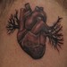 Tattoos - Anatomical heart with thorns  - 53242